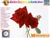 kurban_o1.jpg 
width="101" height="78" 
Dateigrsse: 51391 Byte 