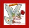 dsc_bayram01.jpg 
width="100" height="95" 
Dateigrsse: 49432 Byte 