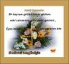 dsc_bayram02.jpg 
width="100" height="93" 
Dateigrsse: 50744 Byte 