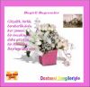 dsc_bayram03.jpg 
width="100" height="97" 
Dateigrsse: 53740 Byte 