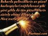 2009_1.jpg 
width="100" height="75" 
Dateigrsse: 134065 Byte 