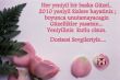 dsc_ekart_yeniyil07.jpg 
width="110" height="73" 
Dateigrsse: 107173 Byte 